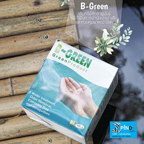 B-Green จุลินทรีย์คัดสายพันธุ์เพื่อใช้ในการบำบัดน้ำเน่าเสีย และควบคุมพาหะนำโรค ปรับสภาพน้ำใส ลดกลิ่น ย่อยไขมันในน้ำ  Water treatment, Odor Removal, Eliminate flies and mosquitoes