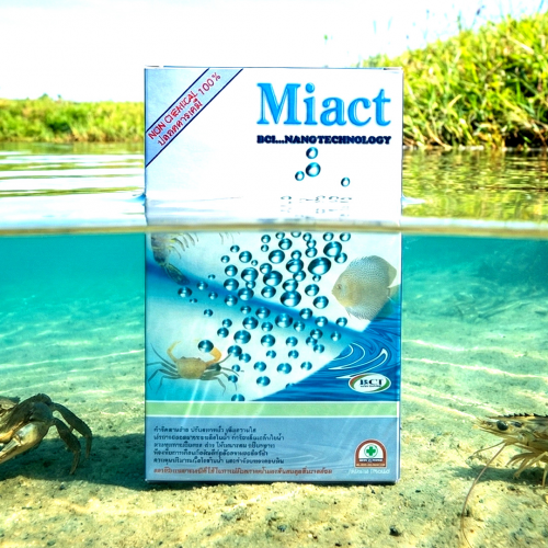Miact/ไมแอค จุลินทรีย์คัดสายพันธ์ุปรับสภาพน้ำใส กำจัดสาหร่ายสีเขียวแกมน้ำเงิน แพลงตอนพิษ ลดก๊าซพิษในน้ำ